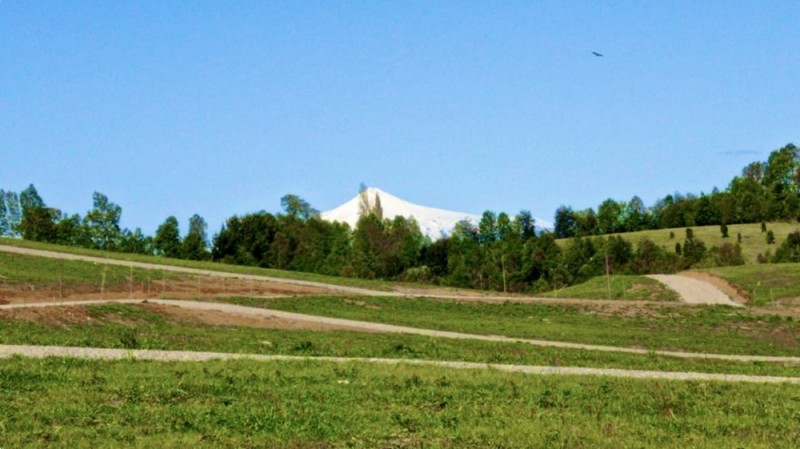 PARCELAS A MINUTOS DE LONCOCHE Y VILLARRICA | OFERTA