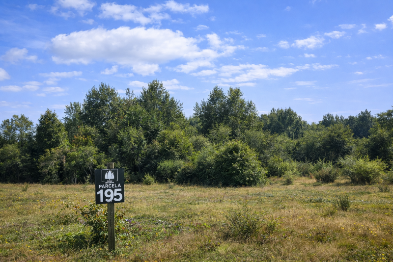 Parcelas en Ruta 5|A Media Hora Puerto Montt|Agua y Luz |Rol