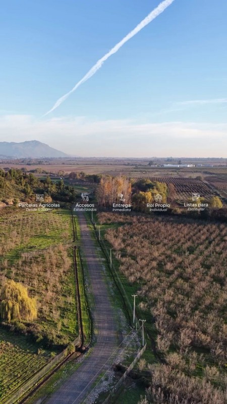 Parcelas Planas | Curicó | Región del Maule | A Min. Centro