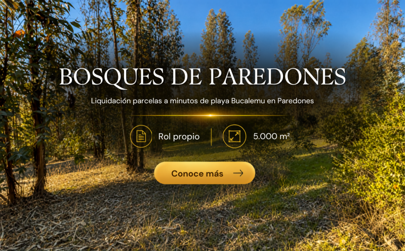 Parcelas en Paredones | A minutos playa Bucalemu | Oferta