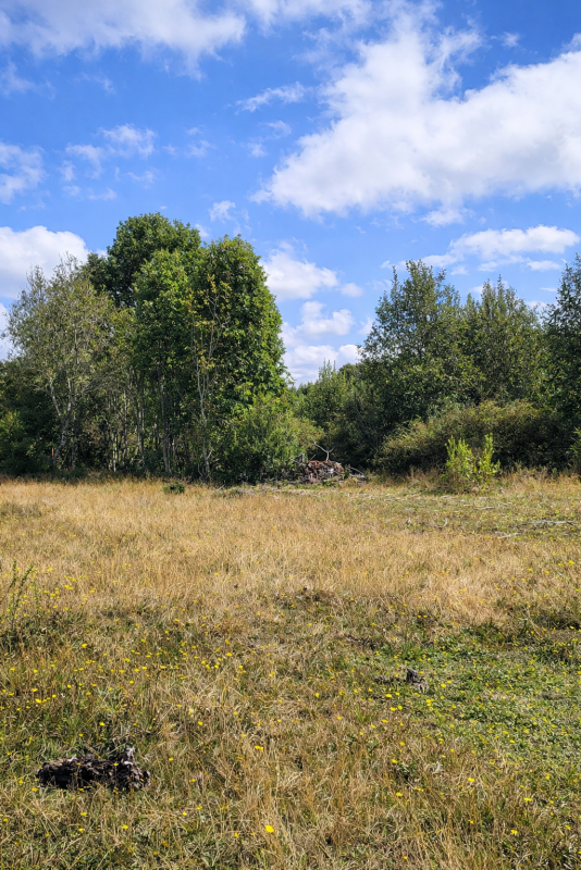 Parcelas en Ruta 5|A Media Hora Puerto Montt|Agua y Luz |Rol