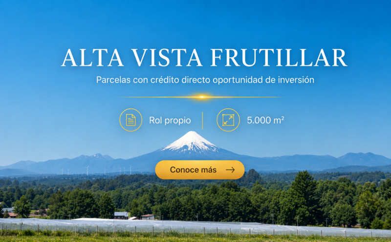 Parcelas en Frutillar|Oferta|Crédito directo|5.000 m²