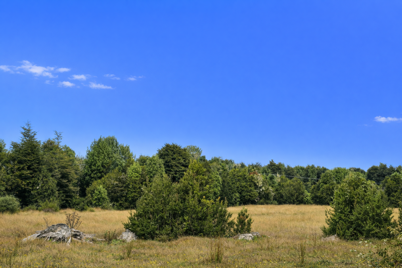 Parcelas en Ruta 5|A Media Hora Puerto Montt|Agua y Luz |Rol