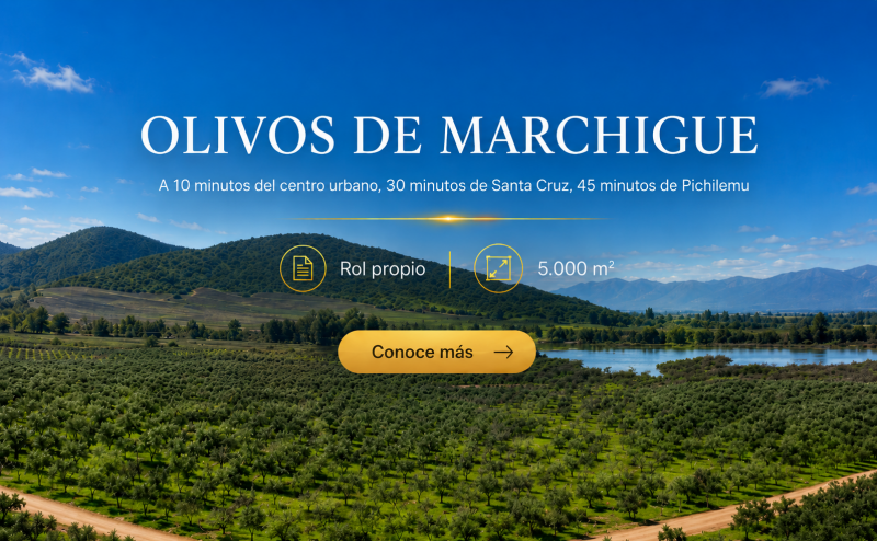 Parcelas Planas | 2 horas de Santiago| Crédito Directo