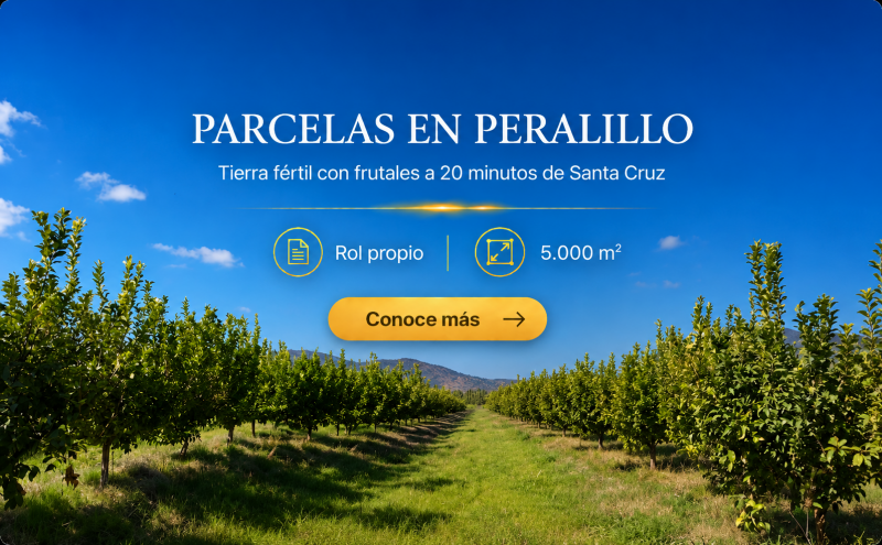 PARCELAS PLANAS CON FRUTALES A MINUTOS PERALILLO Y STA CRUZ