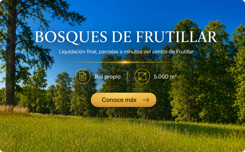 Liquidación últimas parcelas | Frutillar a minutos de todo