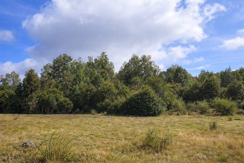 Parcelas en Ruta 5|A Media Hora Puerto Montt|Agua y Luz |Rol