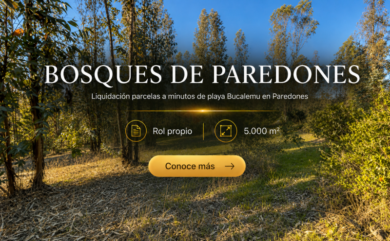 Parcelas en Paredones | A minutos playa Bucalemu | Oferta