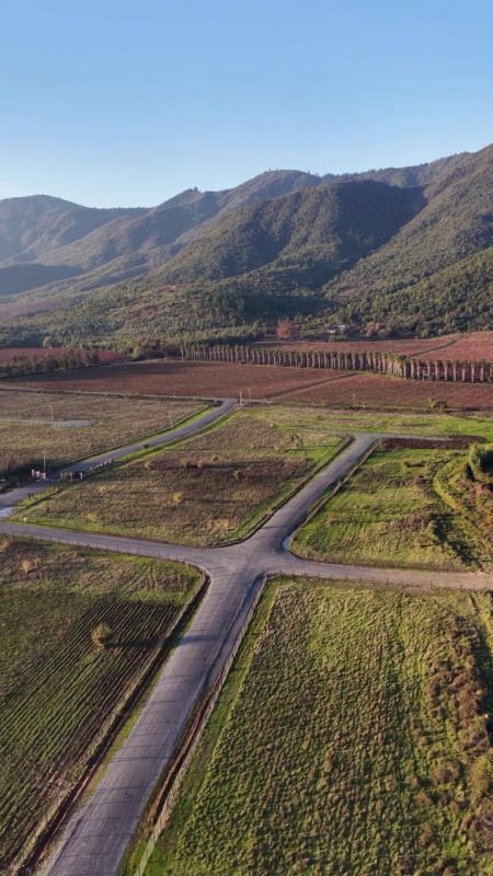 Parcelas Planas | Curicó | Región del Maule | A Min. Centro