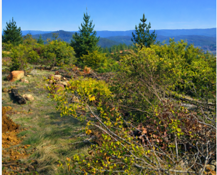 Parcelas en oferta | a minutos de playa | Constitución