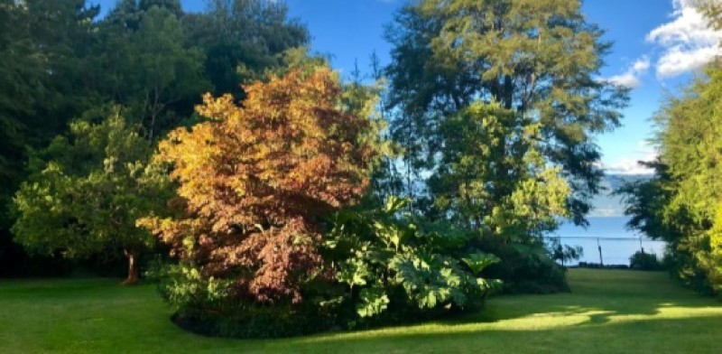 Propiedad 50 Mts Orilla Lago Villarrica, 4 Casas y 12.700 M2