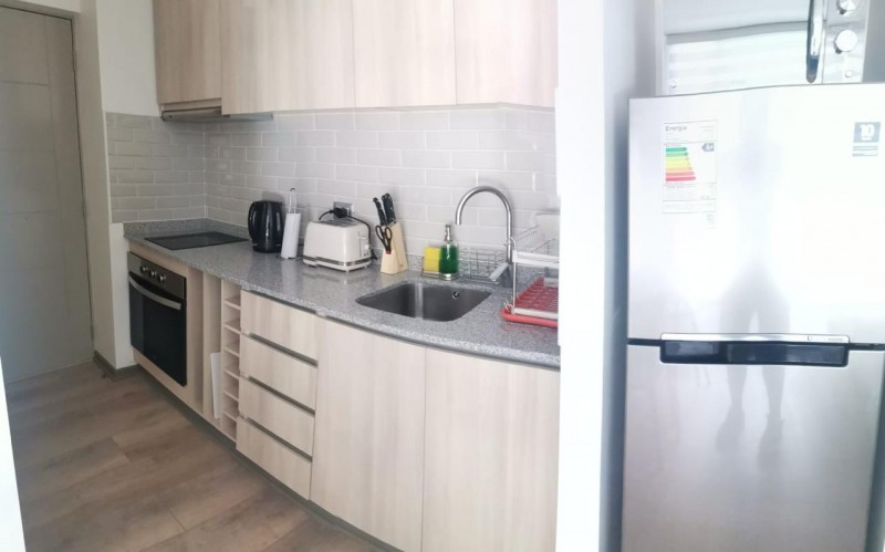 Lindo Departamento Studio, Pucon