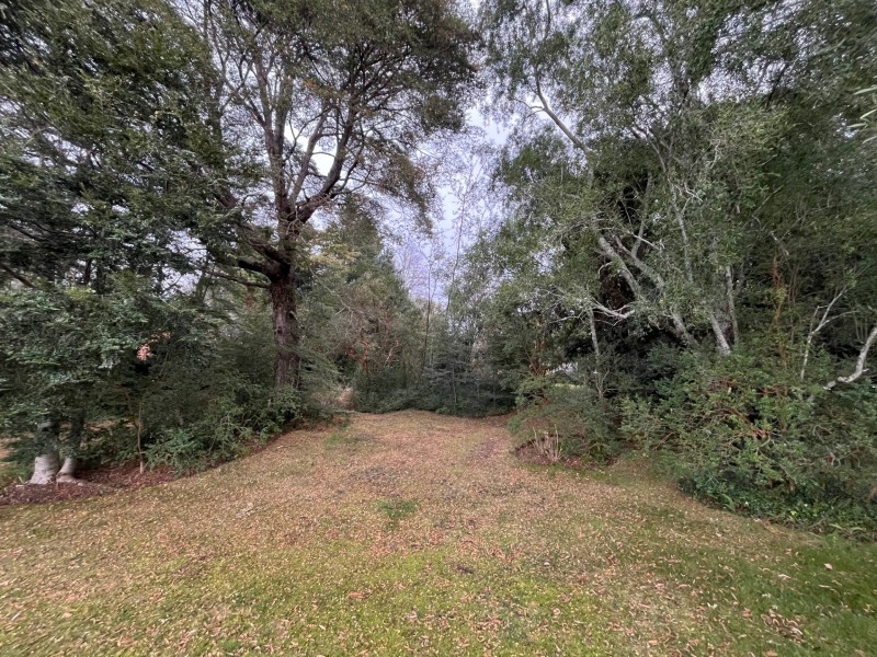 Propiedad 50 Mts Orilla Lago Villarrica, 4 Casas y 12.700 M2