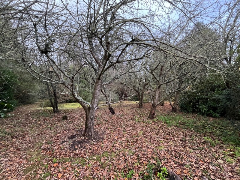 Propiedad 50 Mts Orilla Lago Villarrica, 4 Casas y 12.700 M2