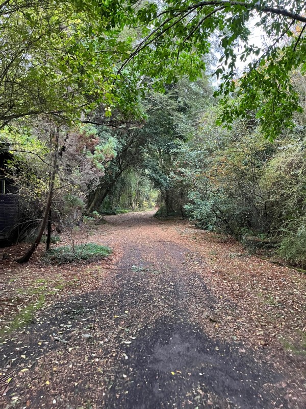 Propiedad 50 Mts Orilla Lago Villarrica, 4 Casas y 12.700 M2
