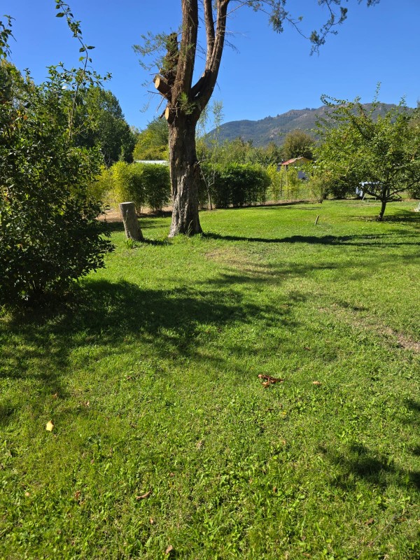 Casa Amplia Panimavida Se Arrienda