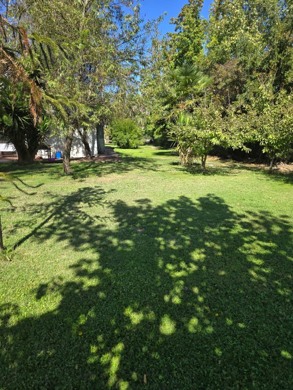 Casa Amplia Panimavida Se Arrienda