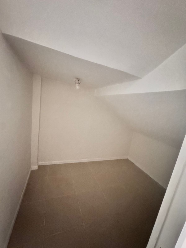 Local en Sector Brasil