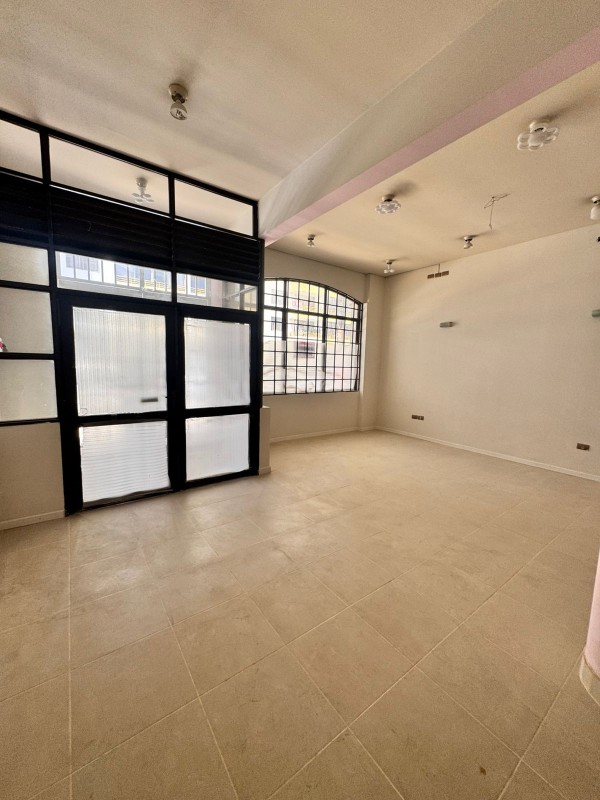 Local en Sector Brasil