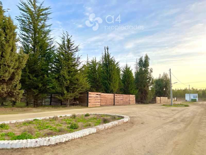 Cómoda y Amplia Casa Bosques de Quirilluca, Maitencillo