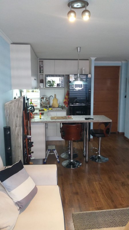 Departamento Laguna Centro, Macul.