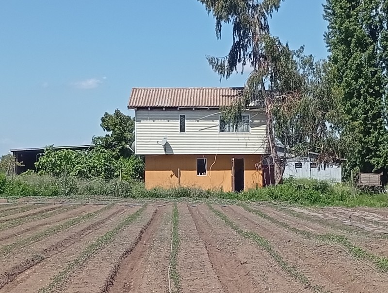 Excelente Parcela Agrícola en Villa Alegre.