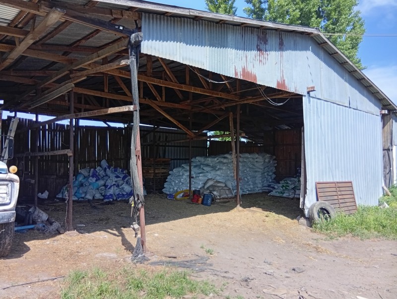 Excelente Parcela Agrícola en Villa Alegre.