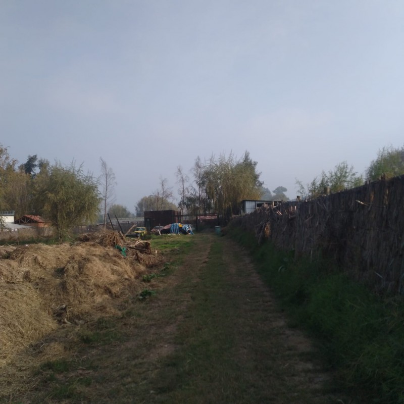 Amplio Terreno Urbano de 3.160,41 M² Con una Cabaña