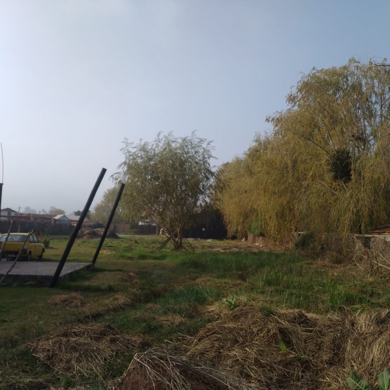 Amplio Terreno Urbano de 3.160,41 M² Con una Cabaña