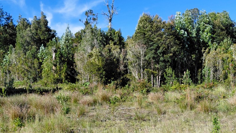 Agro-Parcela Ubicada en Parcelación los Notros Puerto Varas
