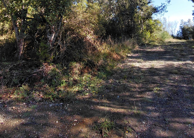 Parcela en Cariquilda Maullin