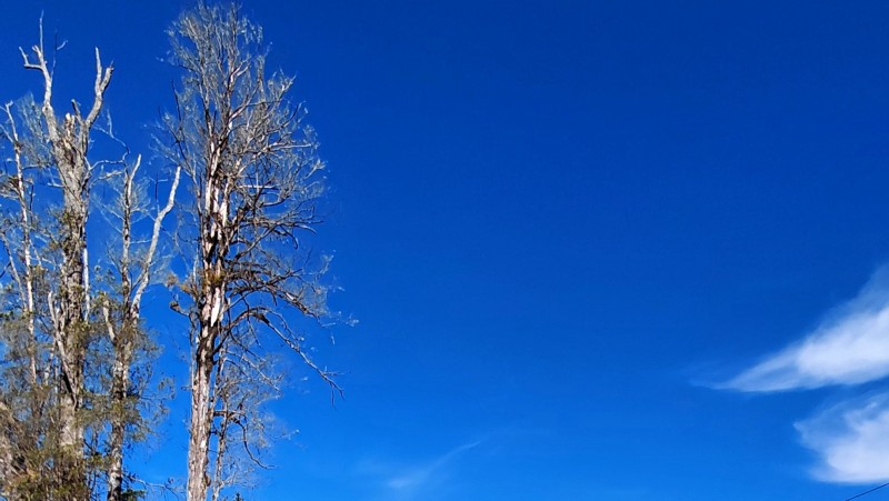 Agro-Parcela Ubicada en Parcelación los Notros Puerto Varas