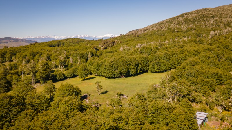 Parcelas de 5.000 M² en Coyhaique - Aguas de Cerro Negro