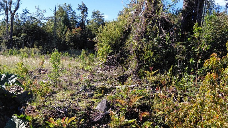 Agro-Parcela Ubicada en Parcelación los Notros Puerto Varas