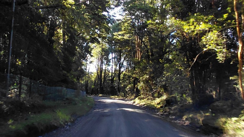 Agro-Parcela Ubicada en Parcelación los Notros Puerto Varas