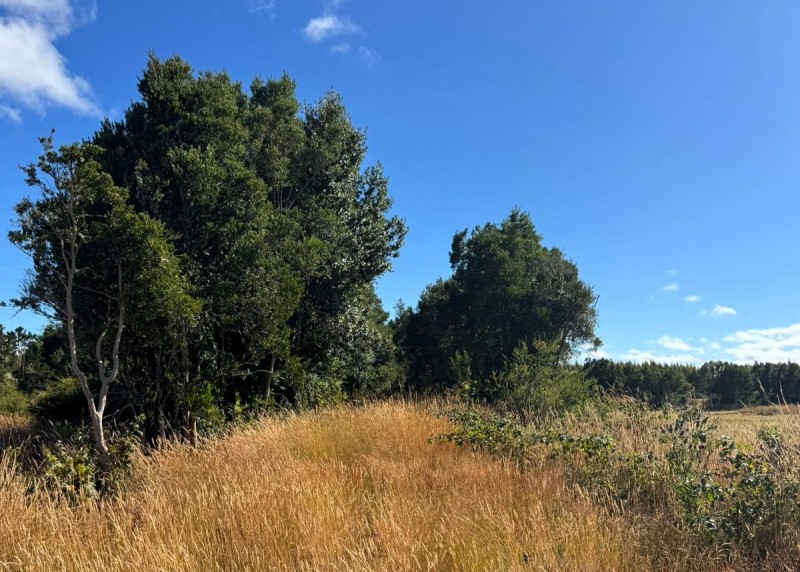 Parcela 63 Ubicada en Parcelación Costa Maullin