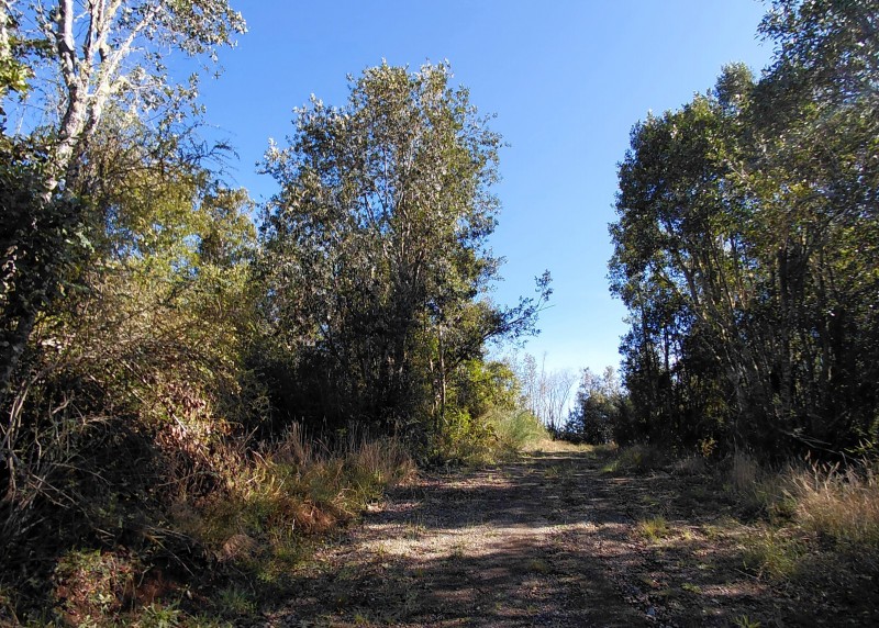 Parcela en Cariquilda Maullin