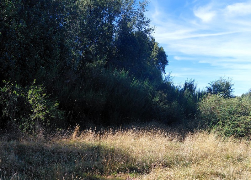 Parcela en Cariquilda Maullin