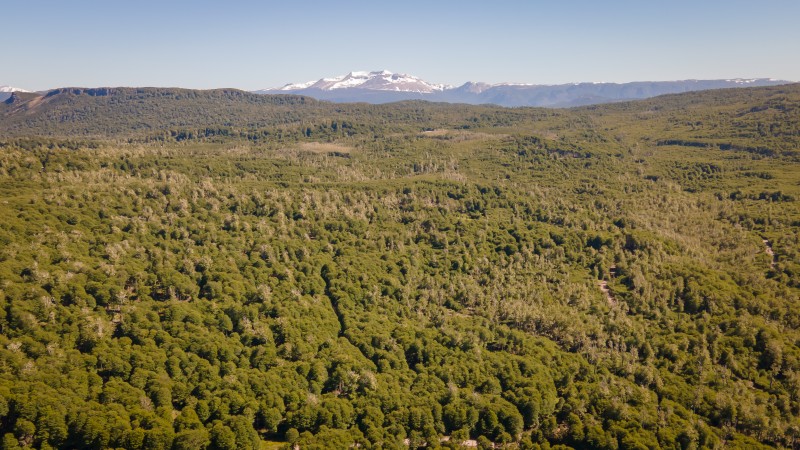 Parcelas de 5.000 M² en Coyhaique - Aguas de Cerro Negro