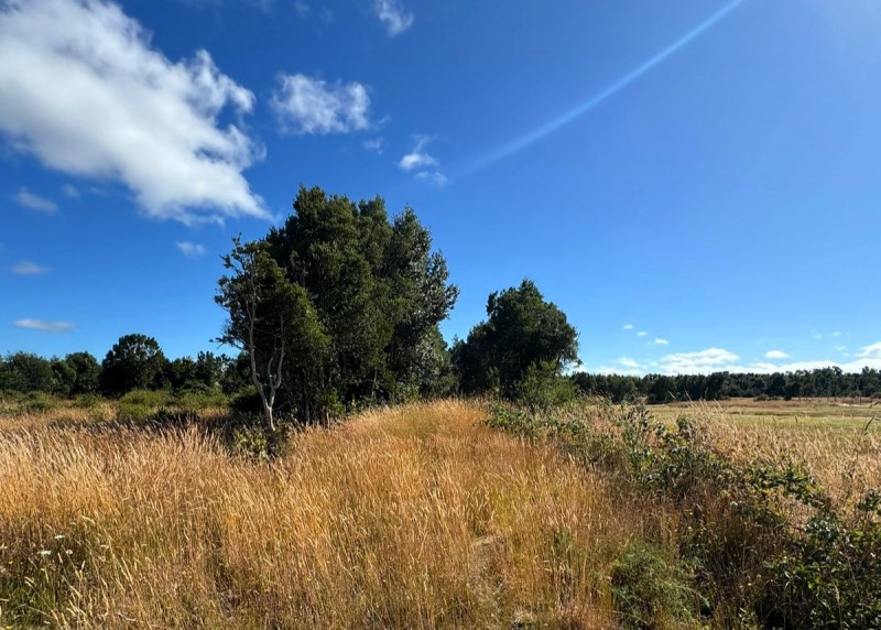 Parcela 63 Ubicada en Parcelación Costa Maullin