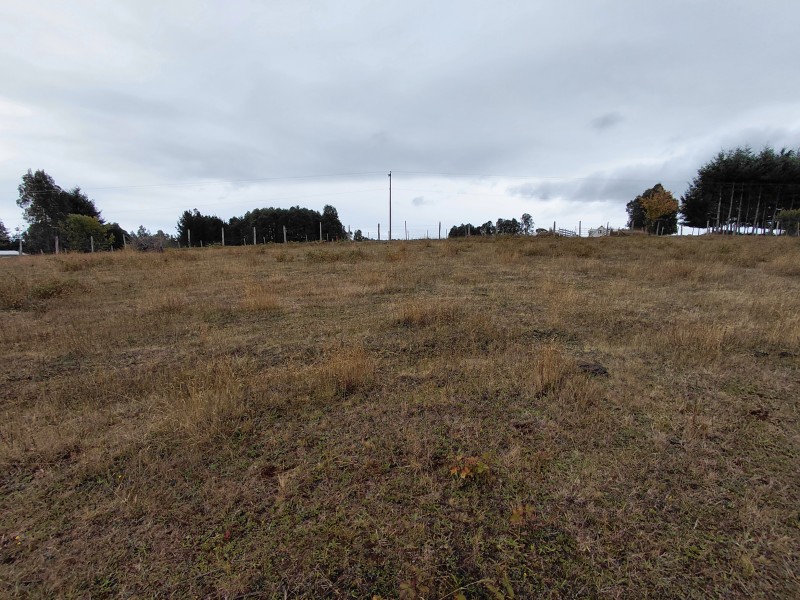 Agro-Parcela en Tegualda