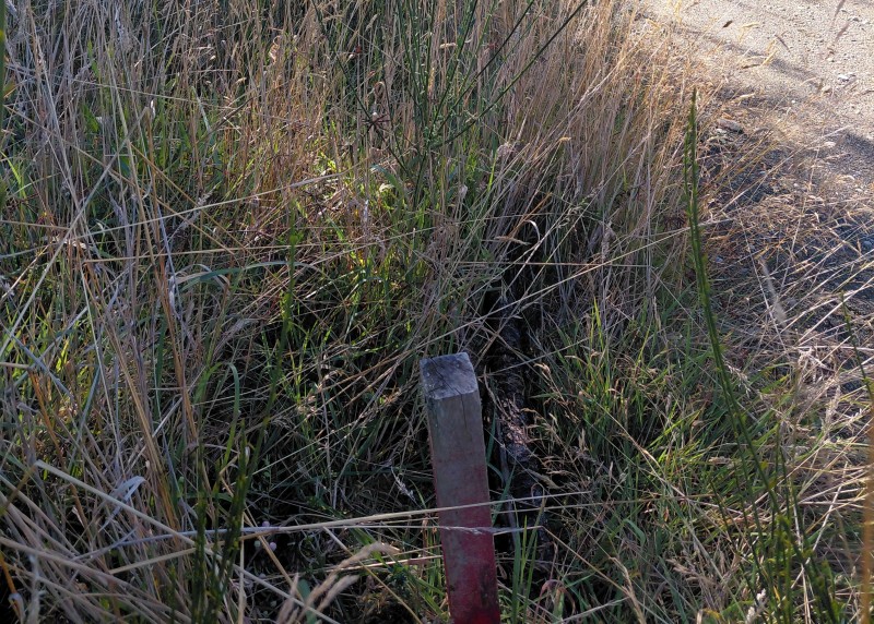 Parcela en Cariquilda Maullin