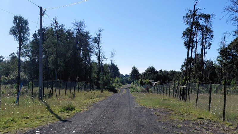 Agro-Parcela Ubicada en Parcelación los Notros Puerto Varas