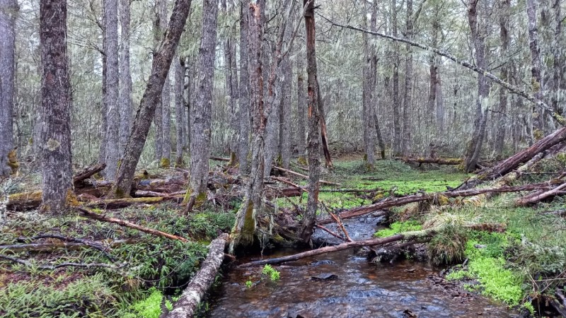 Parcelas de 5.000 M² en Coyhaique - Aguas de Cerro Negro