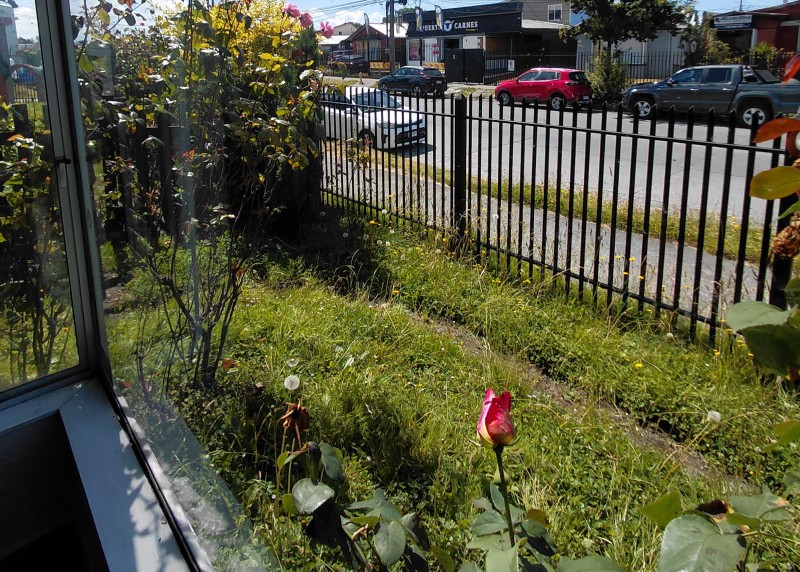 en Venta Casa + Local Comercial en Av. Vicuña Mackenna Puert