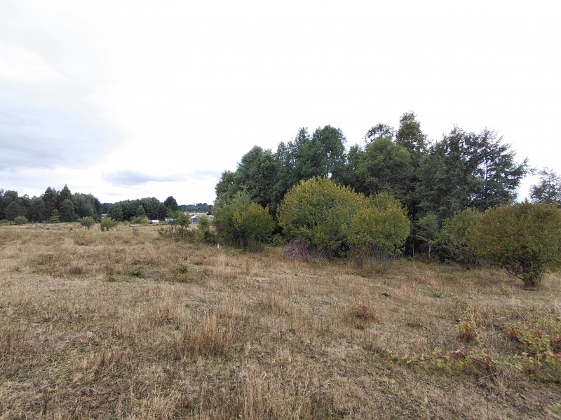 Agro-Parcela en Tegualda