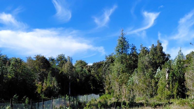 Agro-Parcela Ubicada en Parcelación los Notros Puerto Varas