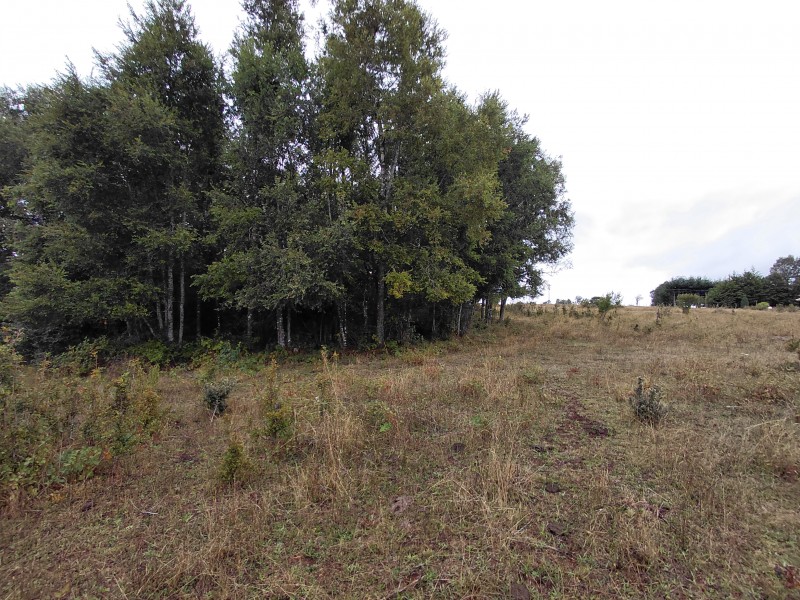 Agro-Parcela en Tegualda