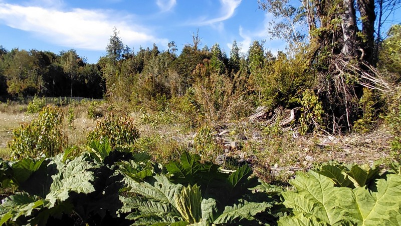 Agro-Parcela Ubicada en Parcelación los Notros Puerto Varas