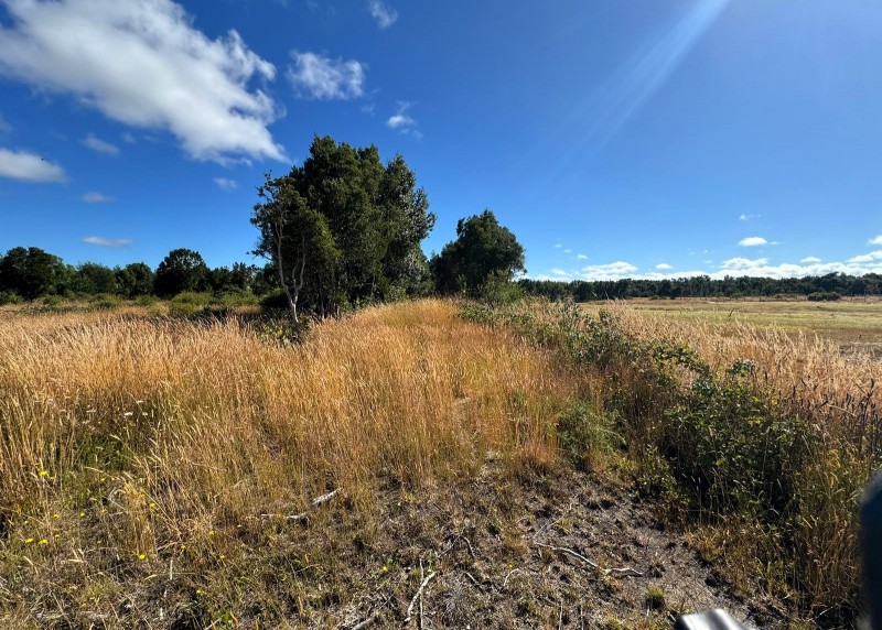 Parcela 63 Ubicada en Parcelación Costa Maullin